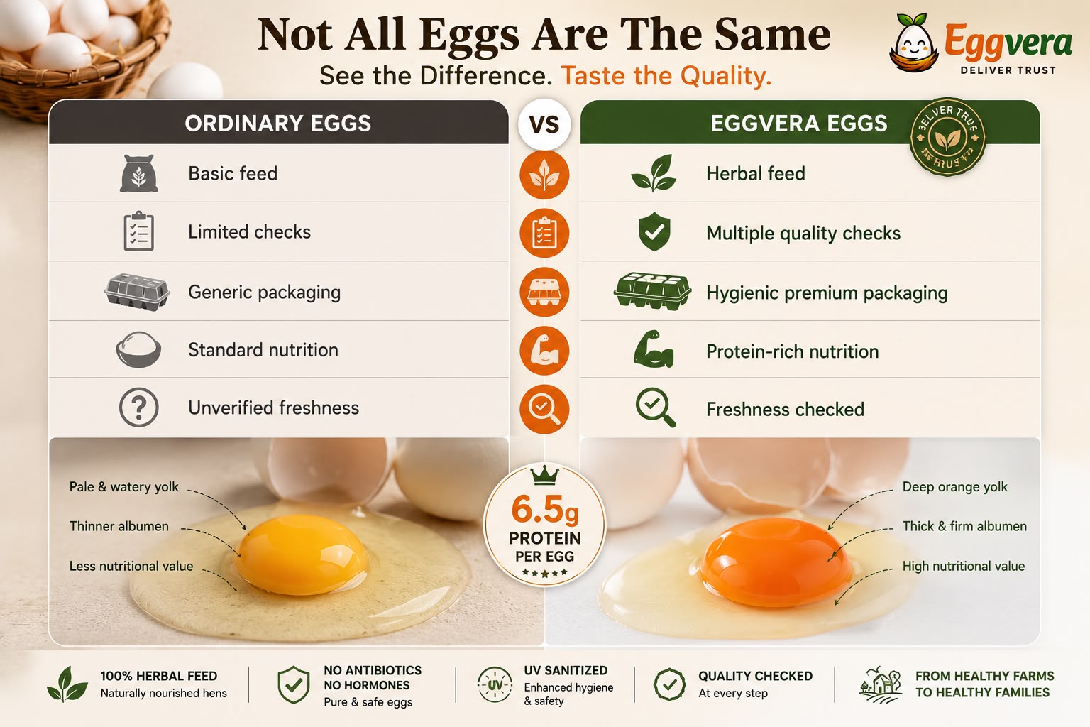 Eggvera vs Ordinary Eggs Comparison